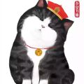 爱信网络科技 爱信网络科技