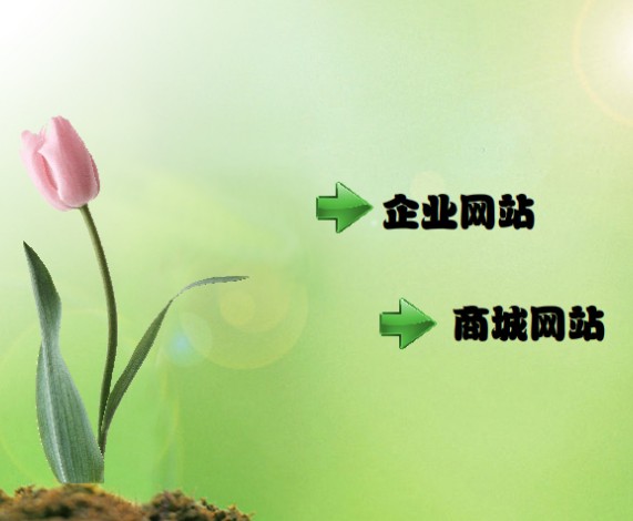 网站动画设计新手教程 flash遮罩层的概念与作用