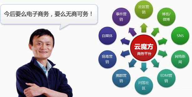 案例实证电子商务推广方案策略
