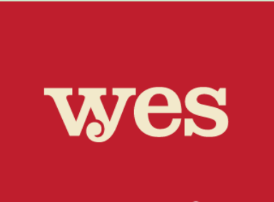 Y字母英文字母logo设计欣赏
