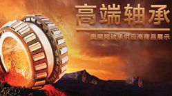 中国奥盟网（行业门户案例）