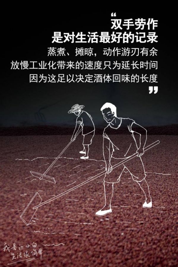 解析文案走红的白酒