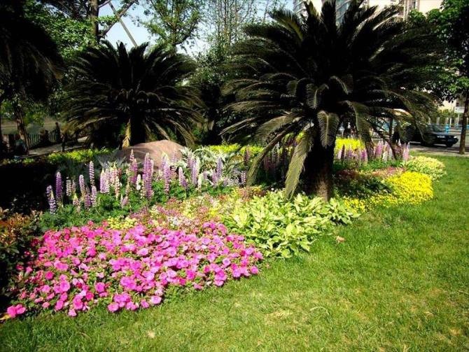 园林花境如何设计，园林花境设计案例