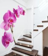 很好看的欧式手绘墙装修设计