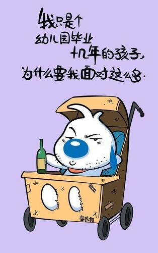 辛巴狗手机背景图片欣赏(二)