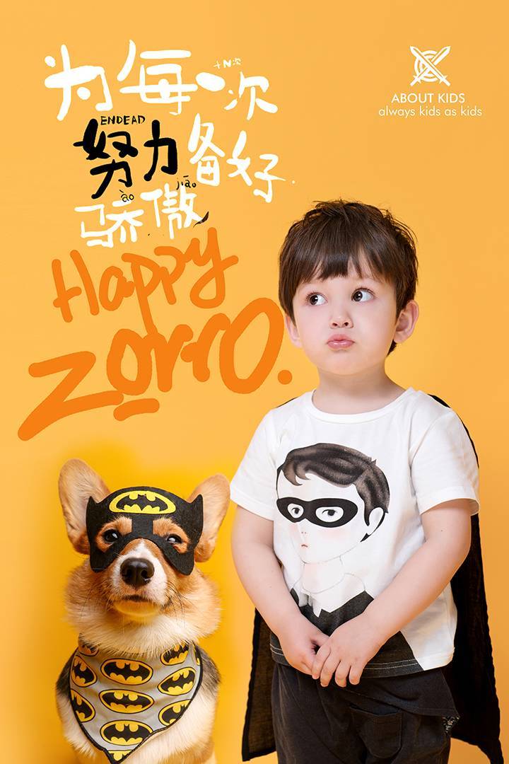 萌宠记——影视后期素材添加让画面更有趣