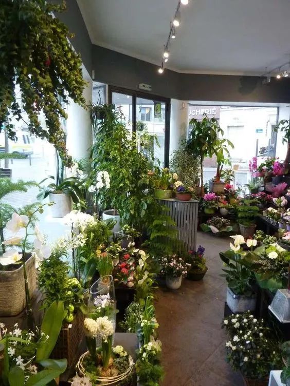 花店装修不用愁，这些风格随你挑！