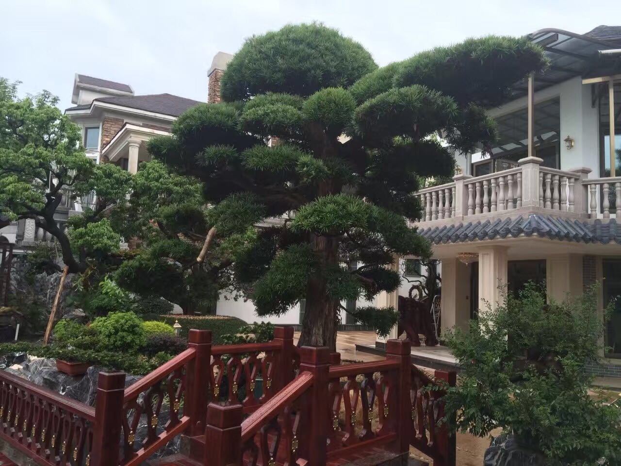 贵阳别墅装修设计，别墅豪宅花园设计完工案例！