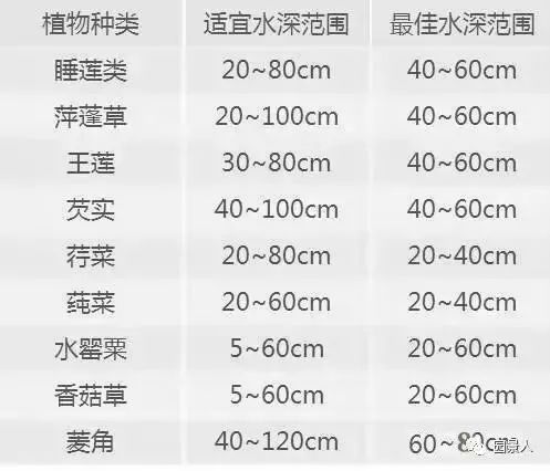 【设计集锦】湿地景观设计要点