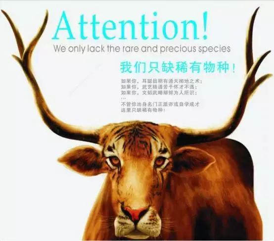招聘广告语也要很有创意，创意招聘广告语大全