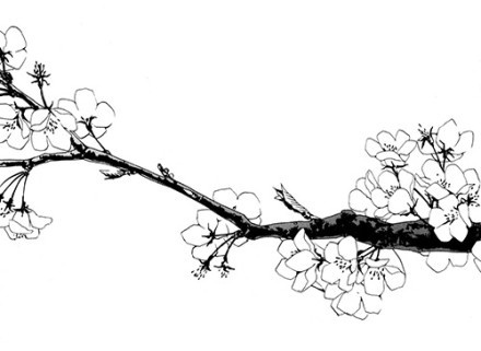 CG插画怎么入门?CG插画入门建议