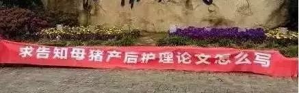 2018横幅素材大全,横幅素材免费下载