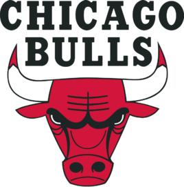十个NBA球队LOGO详解