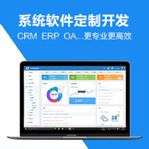 ERP软件开发