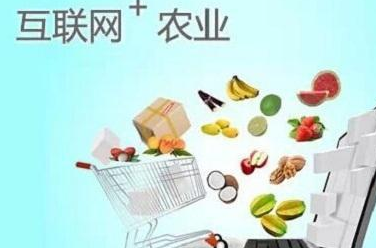 农贸交易APP平台开发