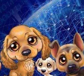 区块链宠物狗APP软件开发
