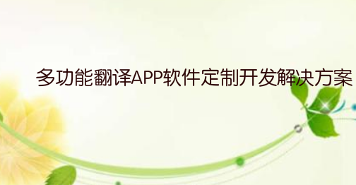 多功能翻译APP软件定制开发解决方案