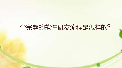 一个完整的软件研发流程是怎样的？