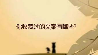 你收藏过的文案有哪些?