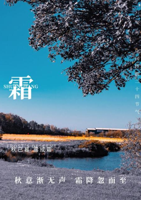 霜降文案精选 | 一落霜,世界就成了一颗“糖”