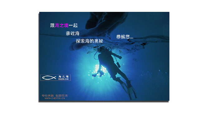"海之境"专业水族广告牌平面设计